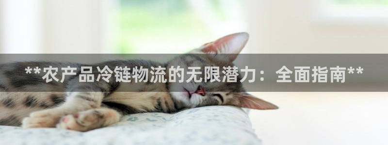 28圈技巧