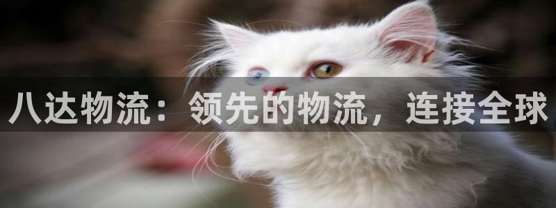 28圈推广链接是多少个：八达物流：领