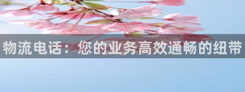 28圈模拟器：物流电话：您的业务高效