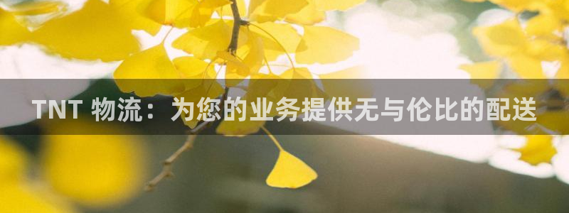 28圈女王中奖记录查询
