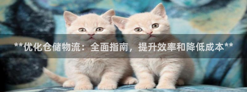 28圈为什么打不开