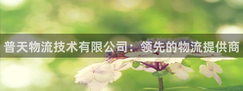 28圈链接来一个