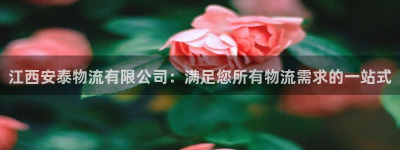 28圈app赢了500万：江西安泰物