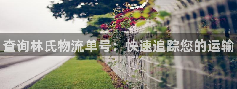28圈网赌案件