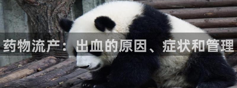28圈注册号：药物流产：出血的原因、