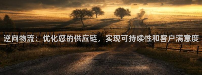 28圈注册：逆向物流：优化您的供应链