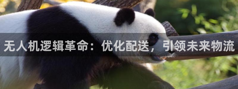 28圈违法吗：无人机逻辑革命：优化配