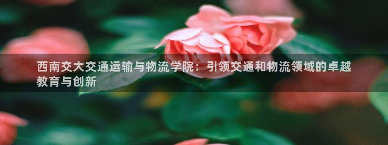 28圈不给提现