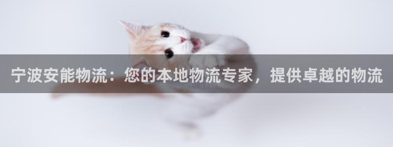28圈预测加拿大师准