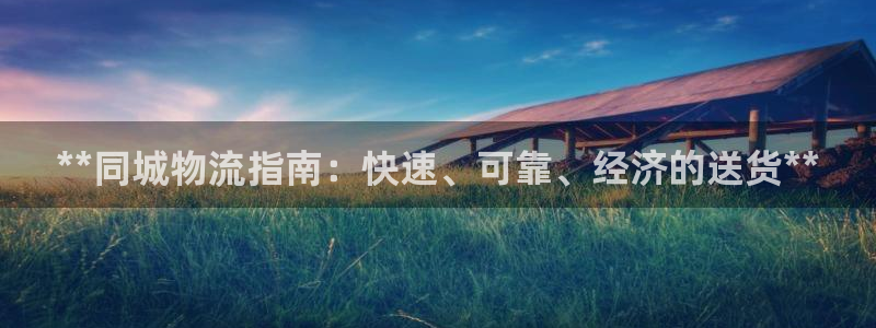 28圈官网注册：**同城物流指南：快