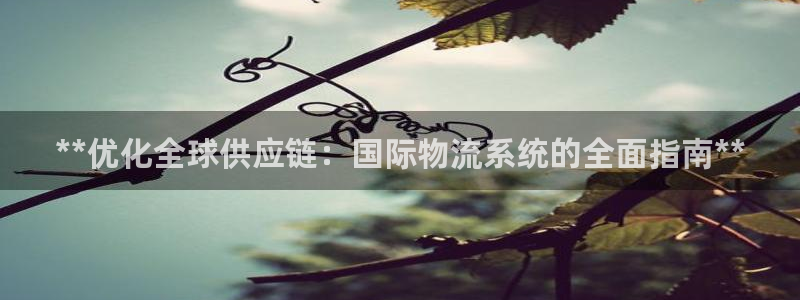 28圈是南宫旗下的吗：**优化全球供