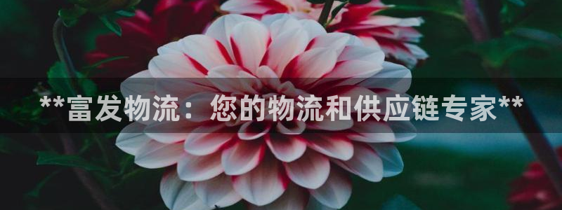 28圈黑款