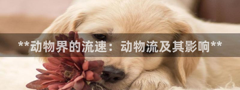 28圈犯法吗