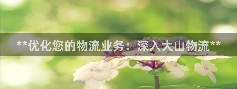 28圈app怎么注册账号：**优化您