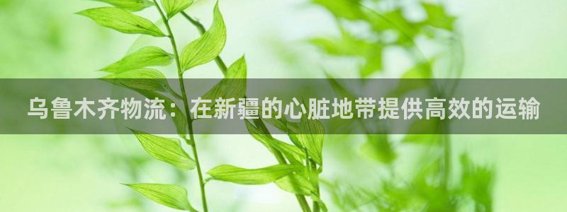 28圈注册链接教程：乌鲁木齐物流：在