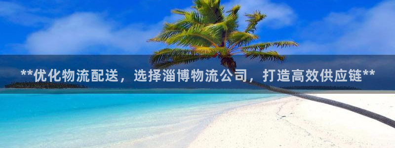28圈ccm游戏：**优化物流配送，