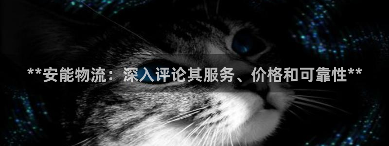 28圈注册官网：**安能物流：深入评