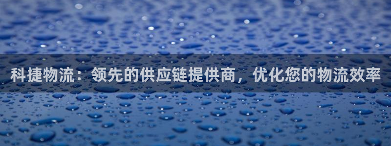 28圈合法吗：科捷物流：领先的供应链
