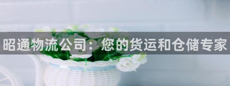 28圈女王中奖记录查询