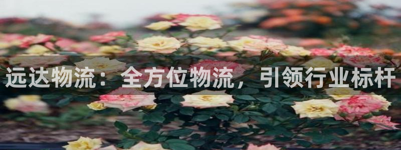 28圈怎么下载