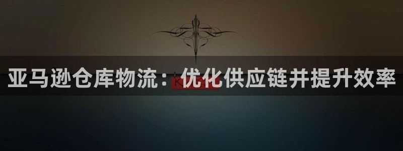 28圈预测：亚马逊仓库物流：优化供应