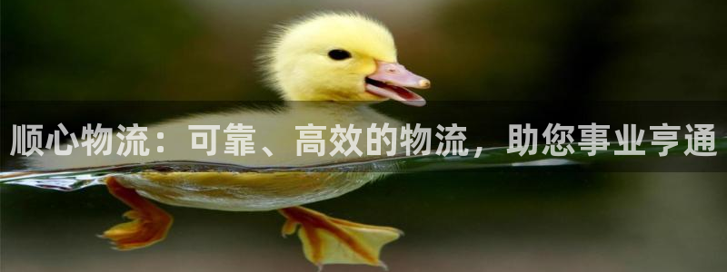 28圈充值不到账什么原因