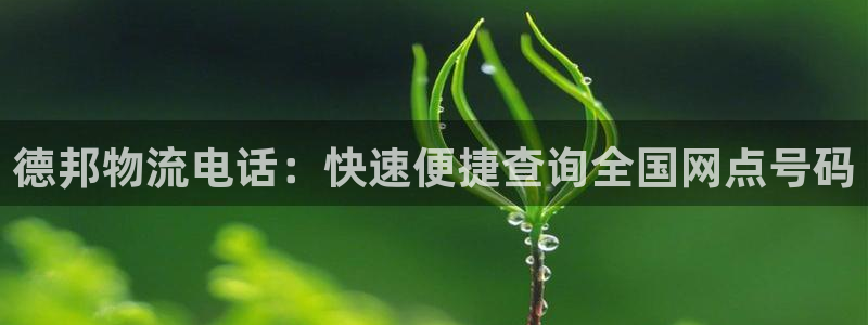 28圈app怎么注销