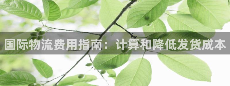 28圈PG电子游戏