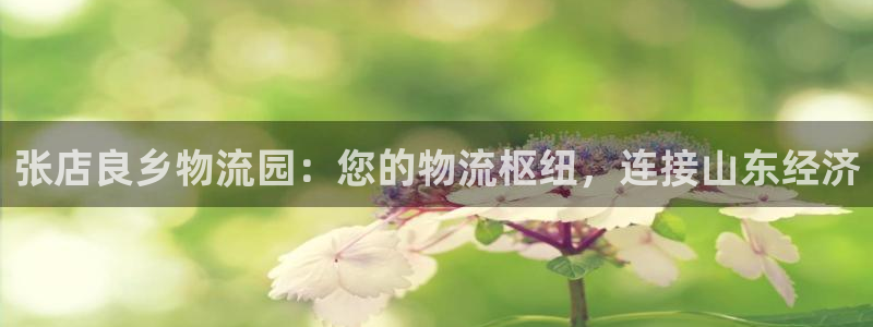 28圈注册网站谁有：张店良乡物流园：