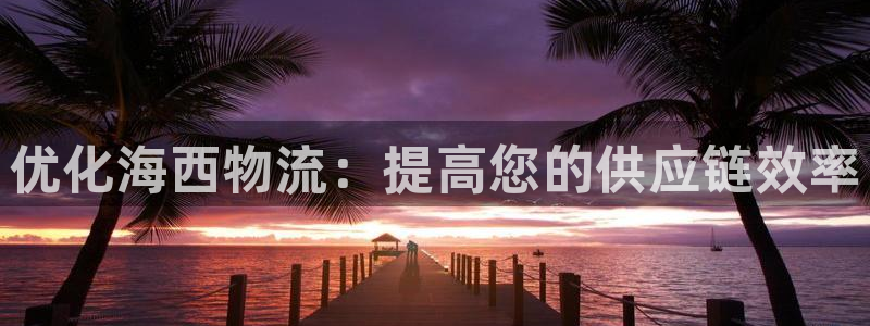 28圈登录不上咋回事：优化海西物流：