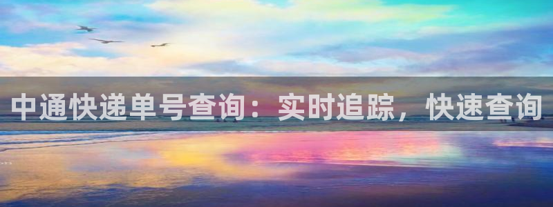 28圈登录不上咋回事：中通快递单号查