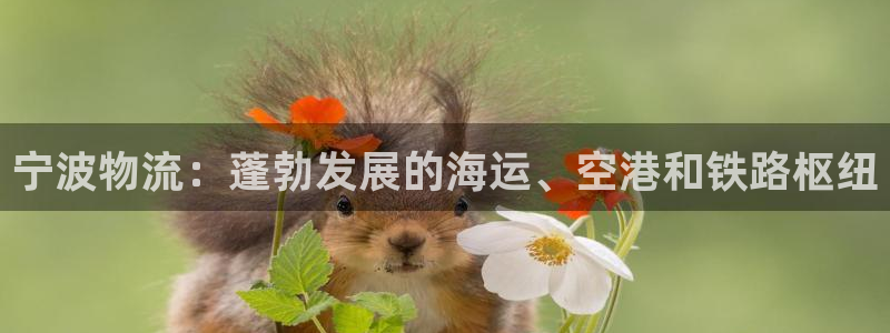 28圈推广链接是多少钱一个