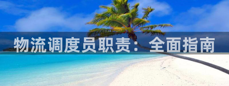 28圈电子游戏：物流调度员职责：全面