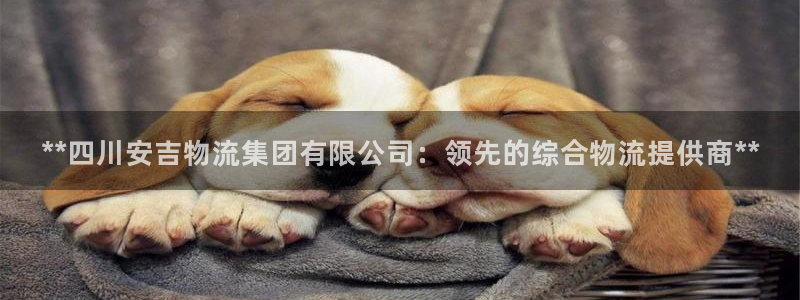 南宫28圈官网版：**四川安吉物流集