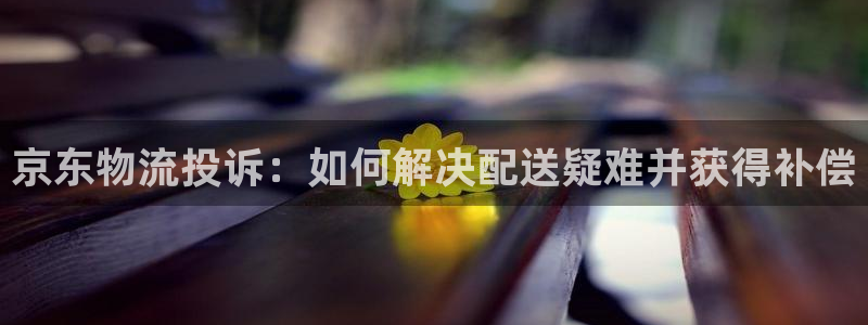 28圈预测：京东物流投诉：如何解决配