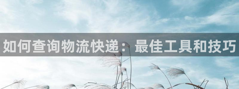 28圈加拿大官网：如何查询物流快递：