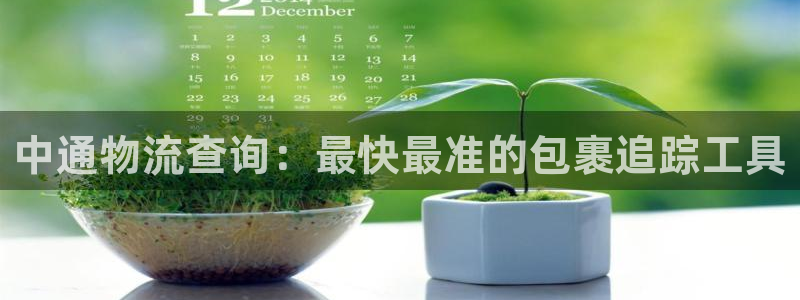 28圈娱乐官网网页：中通物流查询：最