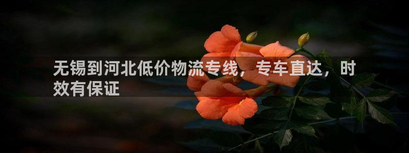 28圈p图上分下款通道：无锡到河北低价物流专线，专车直达，时