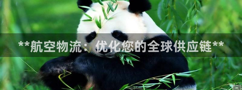 28圈充值不到账什么原因：**航空物