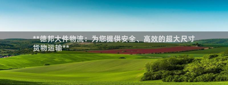 28圈注册网页：**德邦大件物流：为