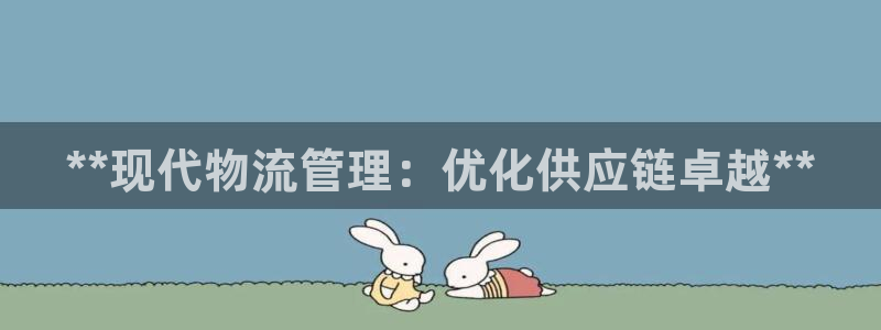 28圈cn：**现代物流管理：优化供