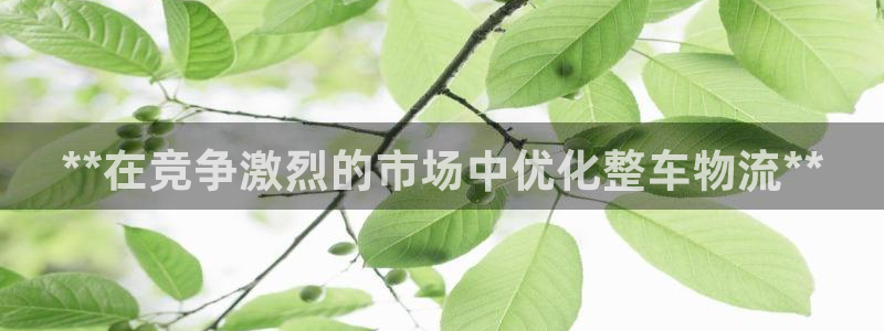 28圈pc预测：**在竞争激烈的市场