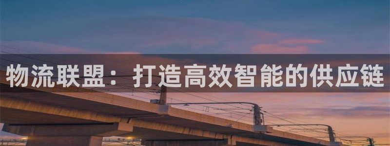 28圈app能退款吗：物流联盟：打造