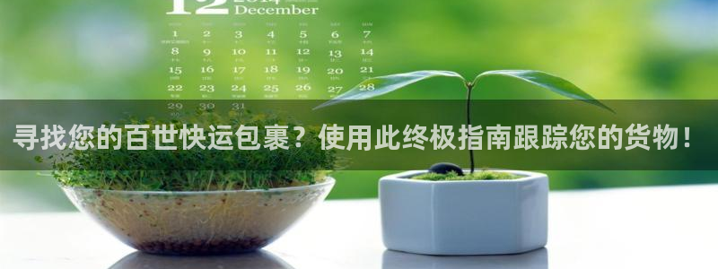 28圈pg如何退钱：寻找您的百世快运