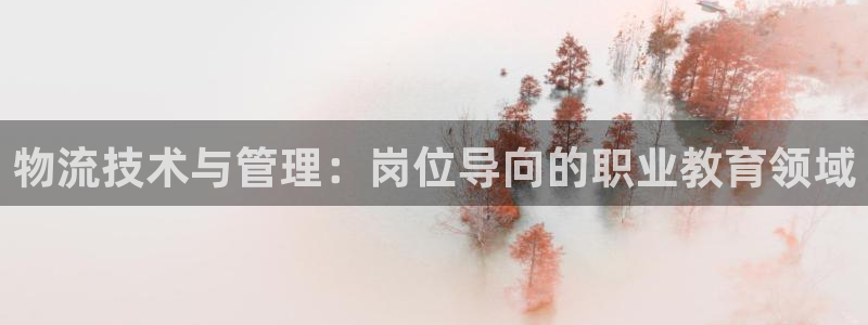 28圈现在狂杀