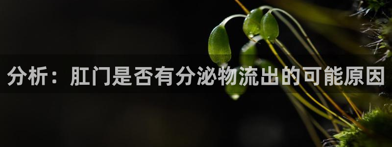 28圈登陆网
