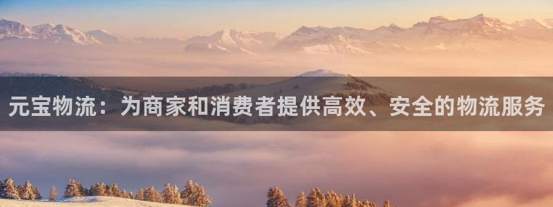 28圈犯法吗：元宝物流：为商家和消费