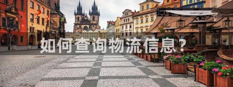 28圈登录不上咋回事:如何查询物流信