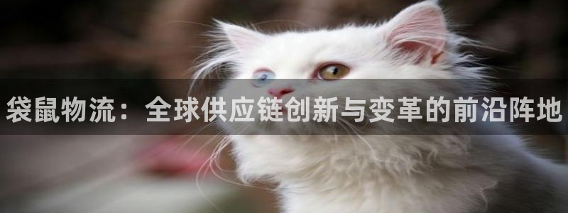 28圈黑款：袋鼠物流：全球供应链创新