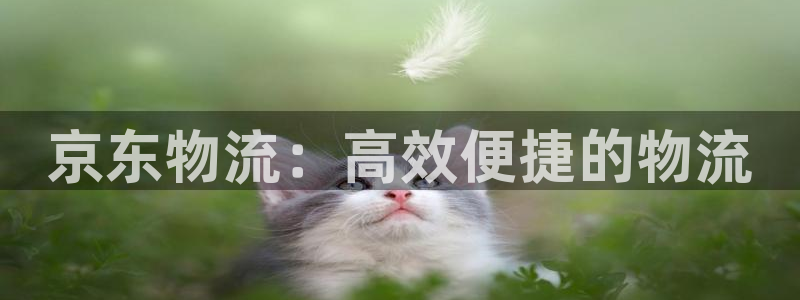 28圈app怎么注册账号：京东物流：